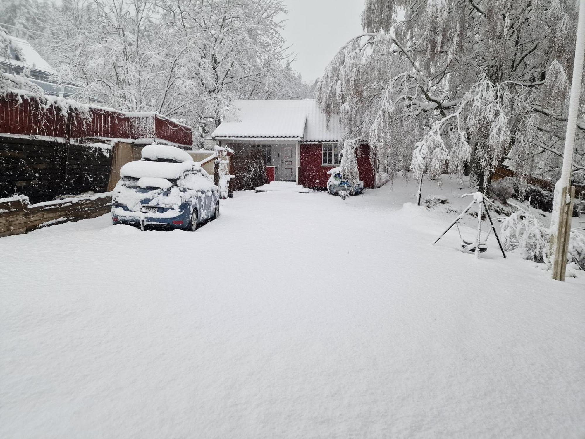 Koselig Anneks I Heggedal! Villa Asker Exteriör bild